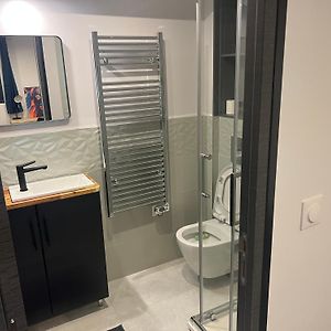 Loft Entier Nancy Centre Et Parking